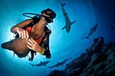 Specialty Courses | Deep Diver