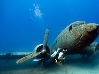 Specialty Courses | Underwater Photographer