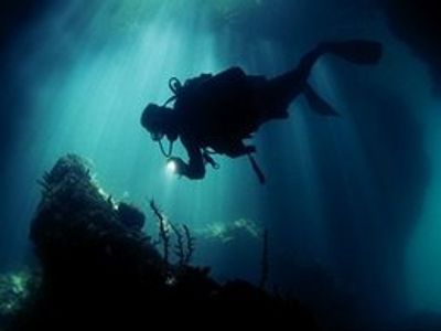 Specialty Courses | Night Diver