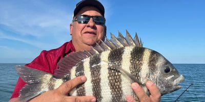 Full Day Nearshore Fishing – Private Charter