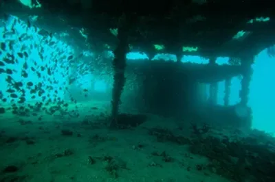 6 Pack Charter | 3 Tank Offshore Dive