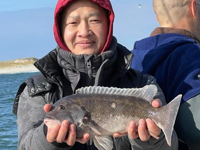 Fishing Trips Jersey Shore - Sea Bass