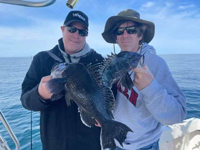 Fishing Charter NJ Shore - Sea Bass