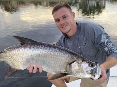 Fishing Punta Gorda - Snook And Tarpon Nighttime Excursion	