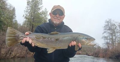 Full Day Fly Fishing – Lower Sacramento