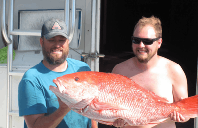 Trolling in the Gulf of Mexico