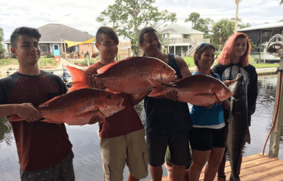 6-Hour Fishing in the Gulf of Mexico