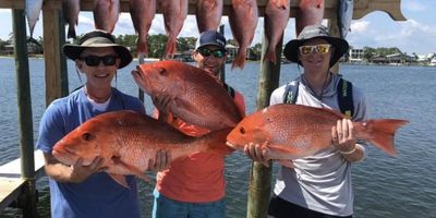 Deep Sea Orange Beach Fishing Charter