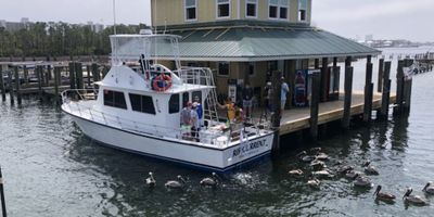 Orange Beach - Gulf of Mexico Charter Fishing