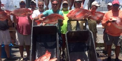 Orange Beach, Alabama Deep Sea Fishing Guide