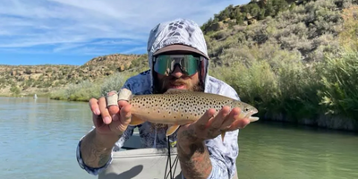 Dead Horse Ranch Lagoon 3 | 8 Hour Drift Boat Fishing Trip 