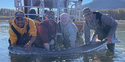 Sturgeon Fishing BC |  Full Day Sturgeon Fishing