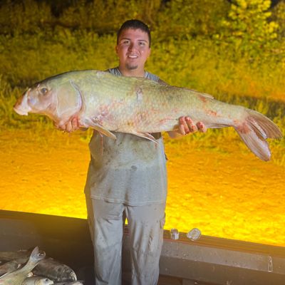 Southern Indiana: A 4 Hour Bowfishing Weekday Getaway