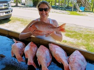 Offshore Snapper Trip (Seasonal)