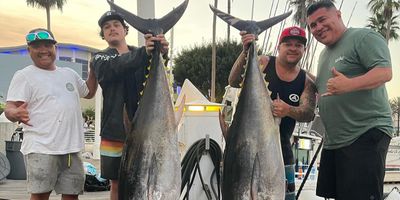 Fishing Charters Long Beach | 12 Hour Bluefin Tuna Charter Trip 