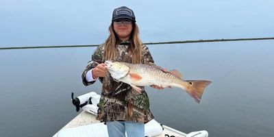 Port O Connor Fishing Guides | Private 4 Hour Morning Trip