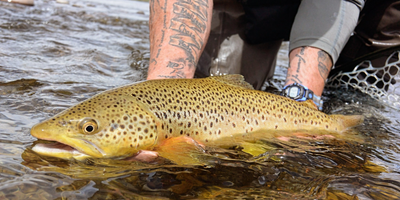 Montana Guided Fishing | 8 Hour Charter Trip In Ruby River 