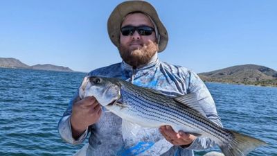 Lake Pleasant Fishing | Private - 5 Hour Trip (AM/PM)