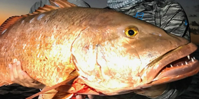 Private 10 Hour Offshore Gulf Towers Fishing | Reel A Salt 30ft Conch