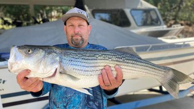 California Fishing Guides