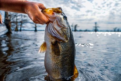 4-6 HR Chewalla Lake Fishing