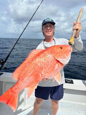 Private 4 Hour Offshore Fishing Trip 