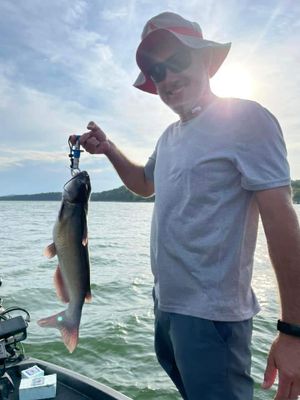 Table Rock Lake 4-Hour Evening Fishing