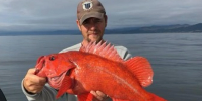 8 HR Salmon & Steelhead Fishing Trip