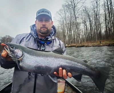 Pulaski Fishing Trout