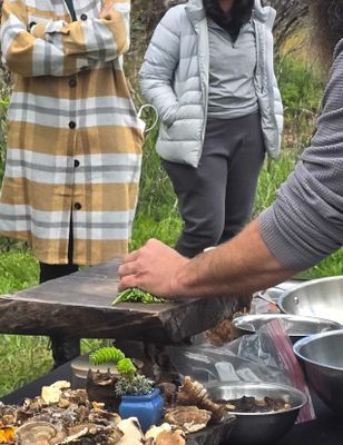 West Sonoma County Mushroom Foraging Adventure Sat. Nov 16th