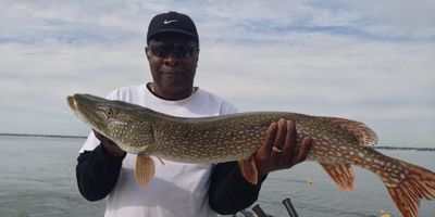 Half Day PM Walleye Trip – Linwood (4hrs)