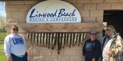 Full Day Walleye Trip – Linwood (8hrs)