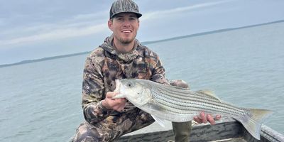 Lake Texoma Full Day Striped Bass Trip