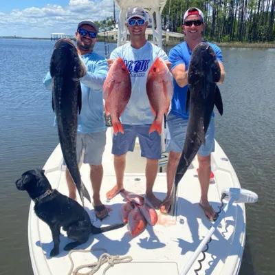 4-Hour Bay/Inshore Trip — Santa Rosa Beach, FL