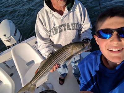 Striper/Bluefish in Cape Cod