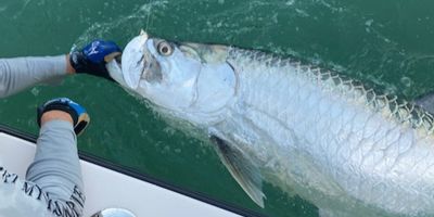 Fort Myers Fishing Charters