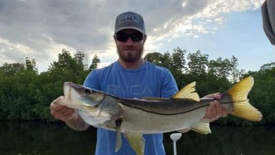 Charter Fishing Bokeelia FL