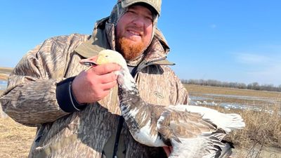 Experience Texas Wild: 3-Day Hunt Package