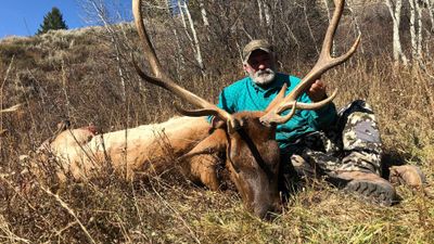 Private  Archery Elk Hunts - Idaho Hunts