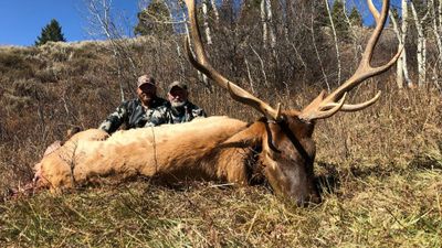 Private Elk / Mule Deer Combo Hunts - Idaho Hunts