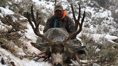 Private Semi-Guided Archery Elk/Deer Combo - Idaho Hunts