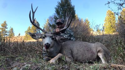 Private  Rifle Elk Hunts - Idaho Hunts