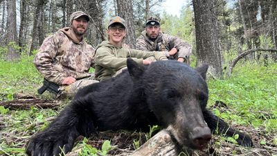 Private Spring & Fall Black Bear Hunts - Idaho hunts