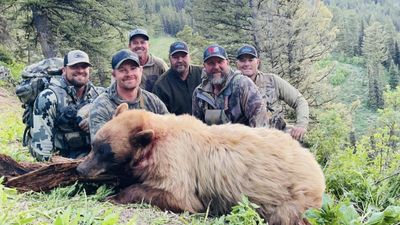 Private Fall & Spring Fully Guided Black Bear Hunts - Wyoming Hunts