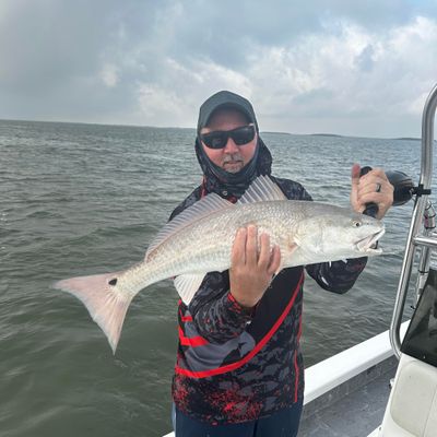 Private Half-Day Afternoon Fishing Trip