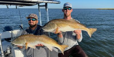 Tampa Florida Fishing Charters | 4 Hour Charter Trip