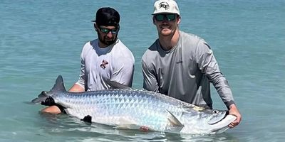 Tampa Fishing Charters | 6 Hour Tarpon Charter Trip