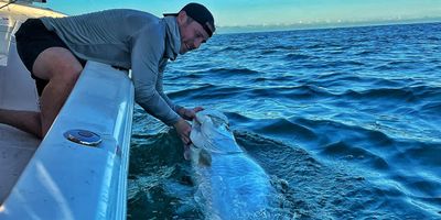 Fishing Charters in Tampa | 8 or 12 Hour Tarpon Charter Trip