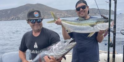 Fishing Charter San Diego | Private - 9 to 12 Hour Trip – Island Charter