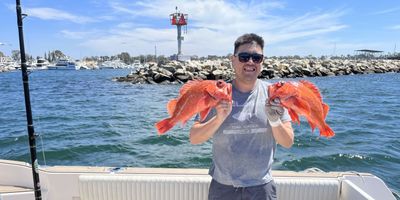 Charter Fishing San Diego | Private - 4 to 12 Hour Trip – Inshore